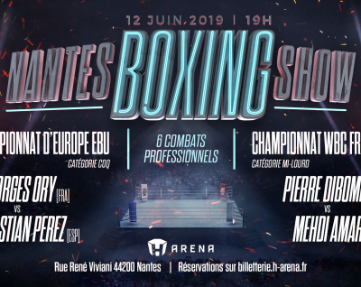 Nantes Boxing Show: ceintures & affiches