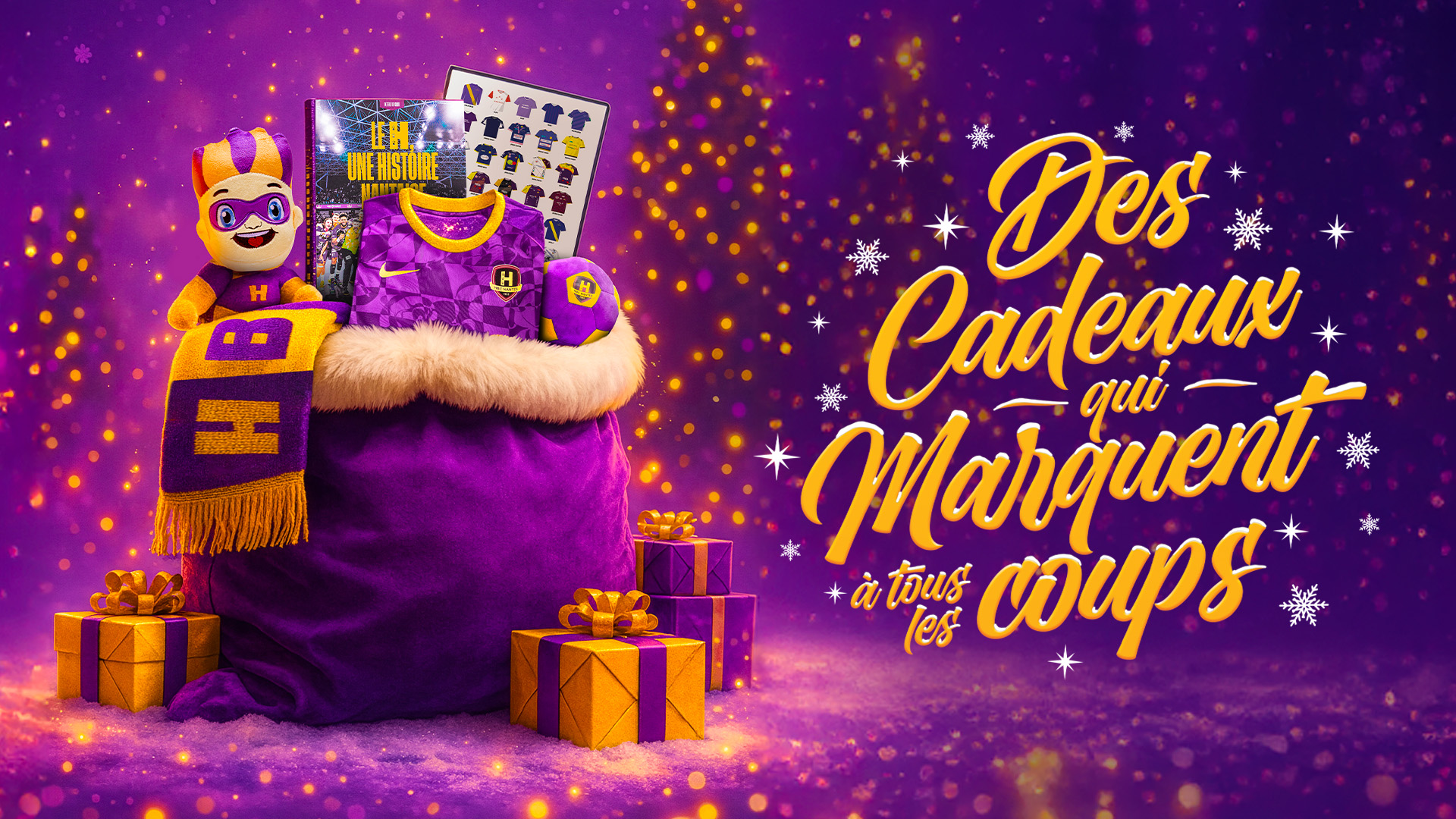 Idée cadeaux : Des places pour nos matchs